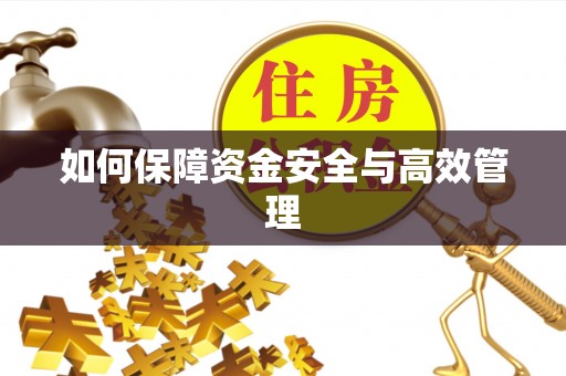 德惠如何保障资金安全与高效管理