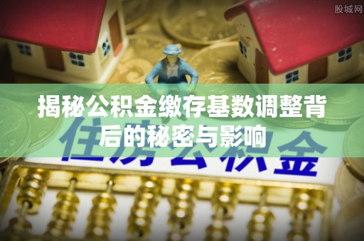 德惠揭秘公积金缴存基数调整背后的秘密与影响